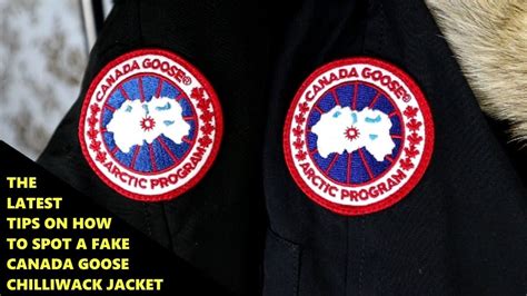 fake canada.goose